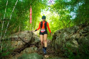 BIB: 
                            <button type="button" onclick="openModal(22087689)" class="btn btn-primary btn-sm float-right btn-popup" data-toggle="modal" data-target=".modal-high-quality">
                        <i class="fas fa-shopping-cart"></i> Add to Cart
                    </button>
                                            <button type="button" onclick="isThisMe(22087689, true)" class="btn btn-success btn-sm float-right btn-popup btn-isme hidden" data-toggle="tooltip" data-placement="bottom" title="นี่คือรูปของคุณใช่ไหม คลิกที่นี่เพื่อเอาเข้าอัลบั้ม">
                        <i class="fas fa-plus"></i> Add to album
                    </button>
                    <button type="button" onclick="isThisMe(22087689, false)" class="btn btn-warning btn-sm float-right btn-popup btn-isnotme hidden">
                        <i class="fas fa-ban"></i> Remove from album
                    </button>